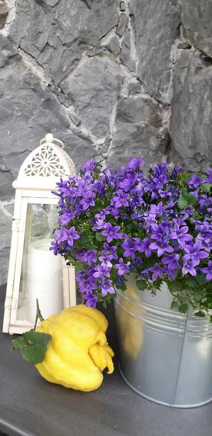 Hotel La Gerbera Levanto Pensjonat